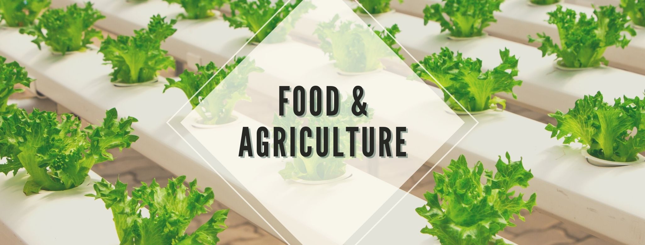 Link to Food and Agriculture page